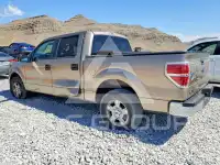 2014 Ford F-150 photo