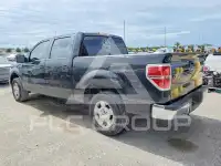 2014 Ford F-150 photo