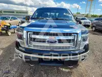 2014 Ford F-150 photo