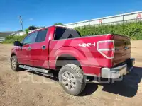 2014 Ford F-150 фото