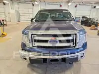 2014 Ford F-150 фото