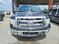 2014 Ford F-150 photo