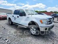 2014 Ford F-150 photo
