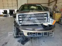 2014 Ford F-150 photo