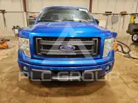 2014 Ford F-150 photo