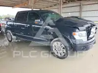 2014 Ford F-150 фото