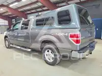 2014 Ford F-150 photo