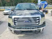 2014 Ford F-150 фото
