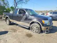 2014 Ford F-150 photo