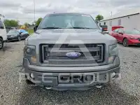2014 Ford F-150 photo