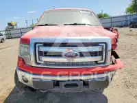 2014 Ford F-150 photo