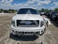 2014 Ford F-150 photo