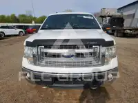 2014 Ford F-150 photo