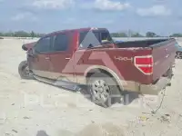2014 Ford F-150 photo
