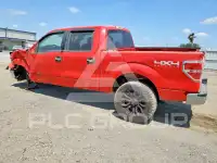 2014 Ford F-150 photo