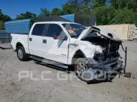 2014 Ford F-150 photo