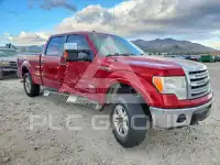 2014 Ford F-150 photo