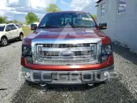2014 Ford F-150 фото