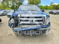 2014 Ford F-150 photo