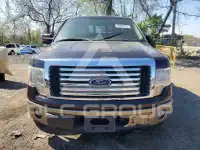 2014 Ford F-150 photo