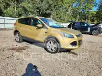 2014 Ford ESCAPE photo