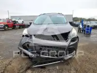 2014 Ford ESCAPE фото