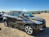 2014 Ford ESCAPE photo