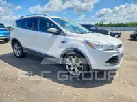 2014 Ford ESCAPE photo
