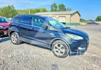 2014 Ford ESCAPE photo