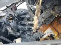 2014 Ford ESCAPE photo