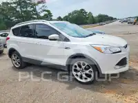 2014 Ford ESCAPE photo