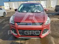 2014 Ford ESCAPE photo
