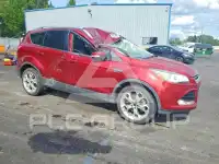 2014 Ford ESCAPE photo