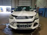 2014 Ford ESCAPE photo