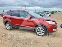 2014 Ford ESCAPE photo
