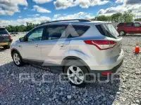 2014 Ford ESCAPE photo