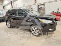 2014 Ford ESCAPE фото