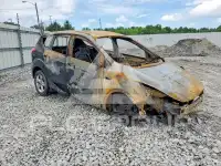 2014 Ford ESCAPE photo