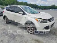 2014 Ford ESCAPE photo