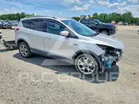 2014 Ford ESCAPE photo