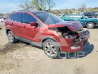 2014 Ford ESCAPE photo