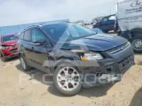2014 Ford ESCAPE photo