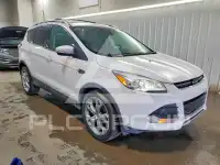 2014 Ford ESCAPE photo