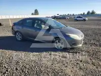 2014 Ford FOCUS фото