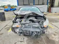 2014 Ford FOCUS фото