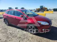 2014 Ford FOCUS фото
