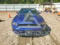 2014 Ford MUSTANG photo