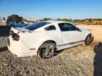 2014 Ford MUSTANG фото