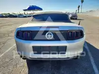 2014 Ford MUSTANG фото