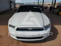 2014 Ford MUSTANG фото